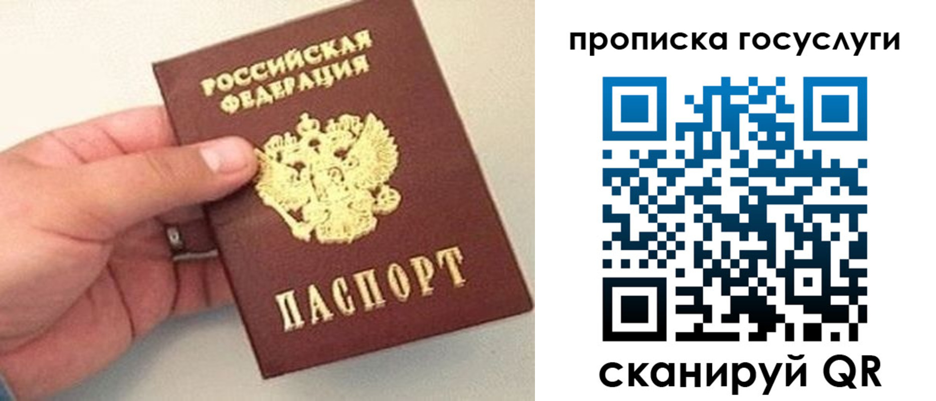 где прописаться в Славгороде